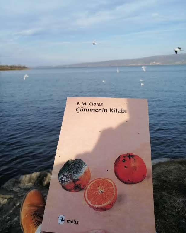 “Doğumun Etkisini Üzerimizden Nasıl Atmalı…” Çürümenin Kitabı, E.M. CIORAN