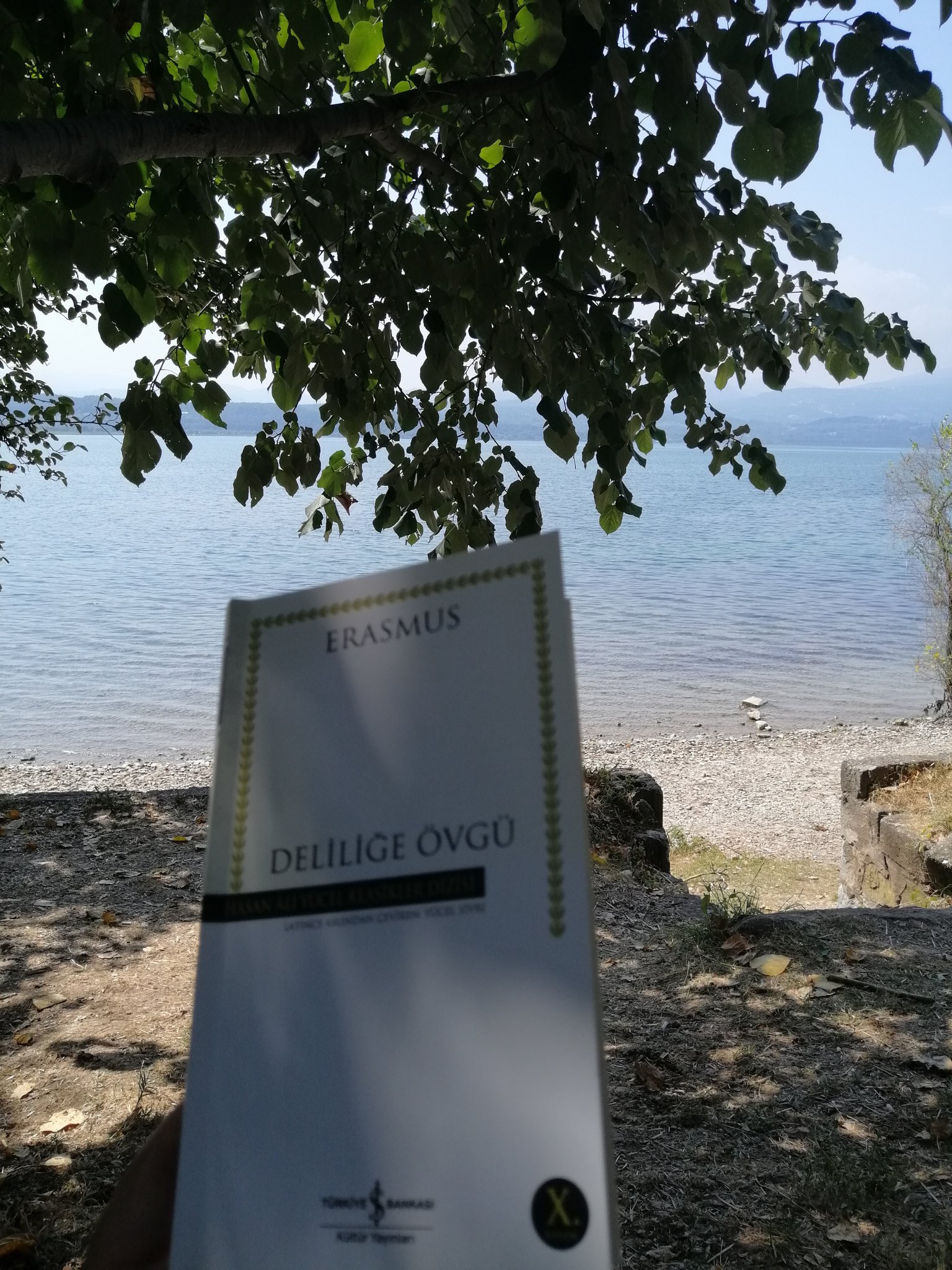 DELİLİĞE ÖVGÜ, ERASMUS