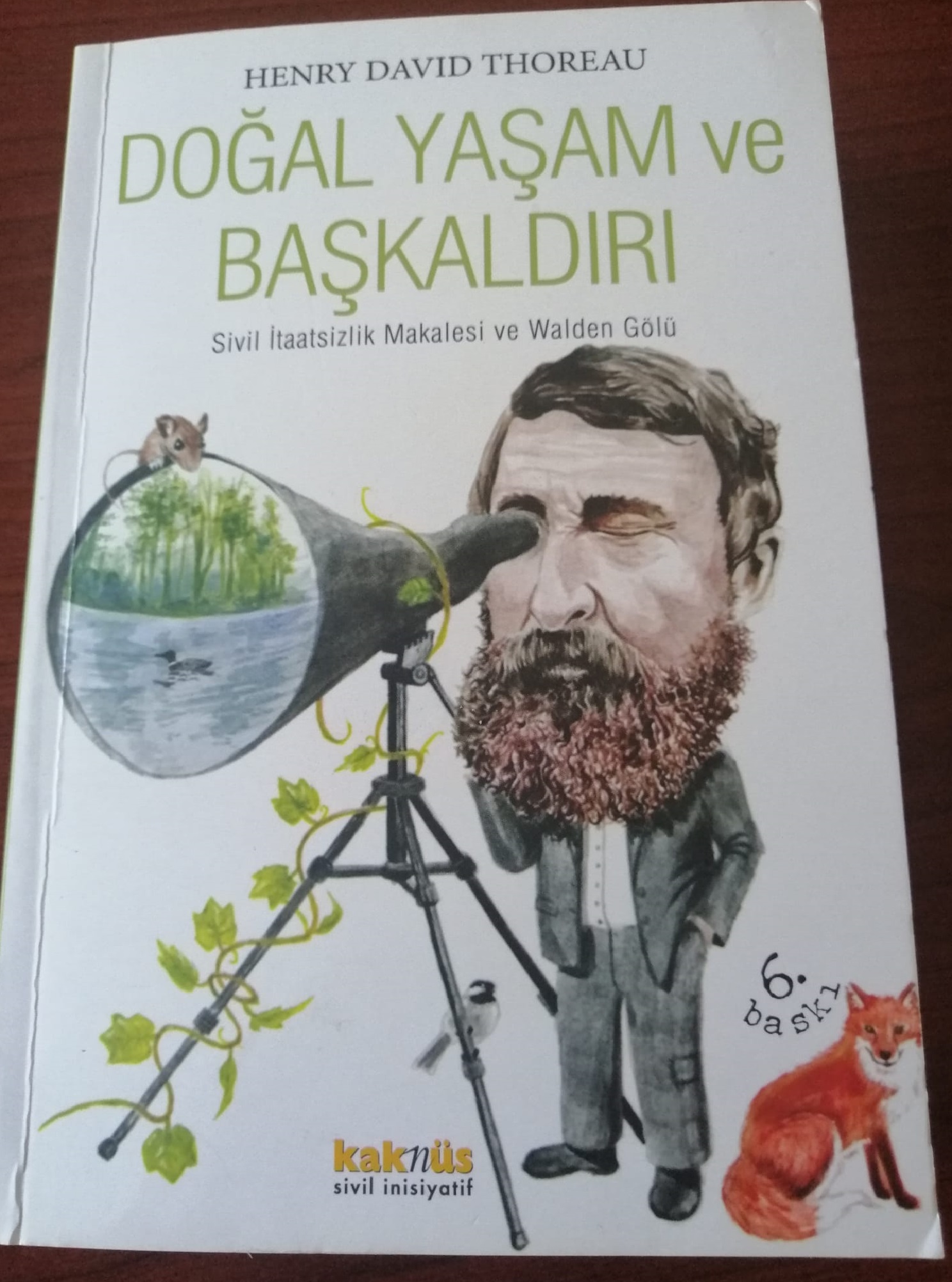 Yaşadığım Yer ve Yaşama Nedenim, Henry David Thoreau
