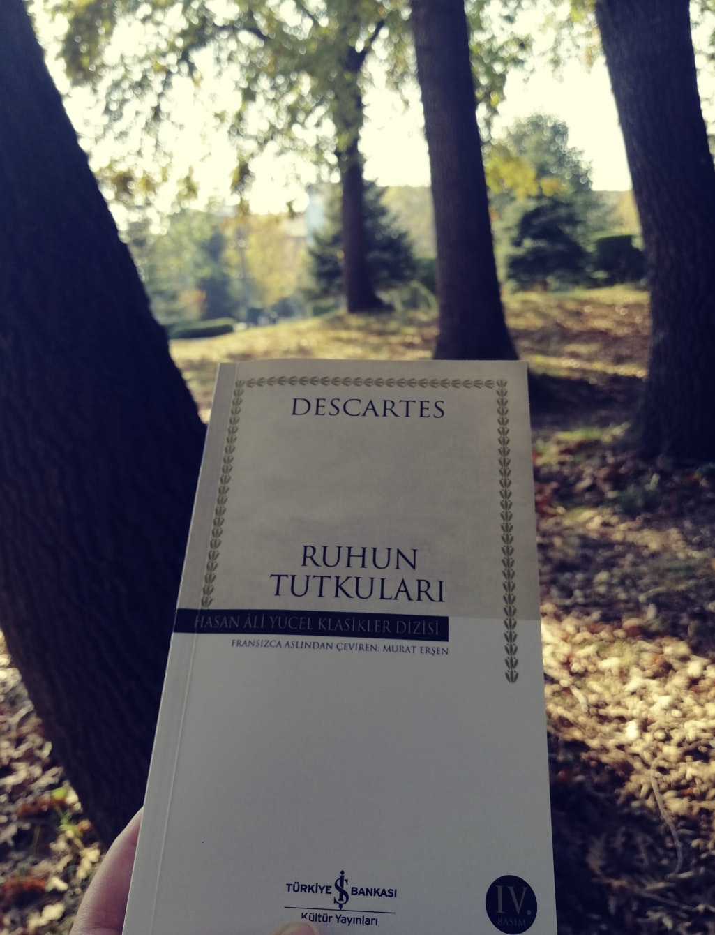 DESCARTES, RUHUN TUTKULARI